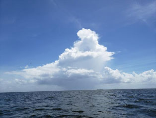 海洋散骨