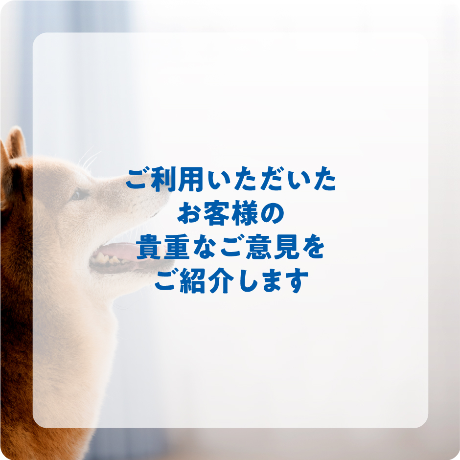 ご家族の声アイコン