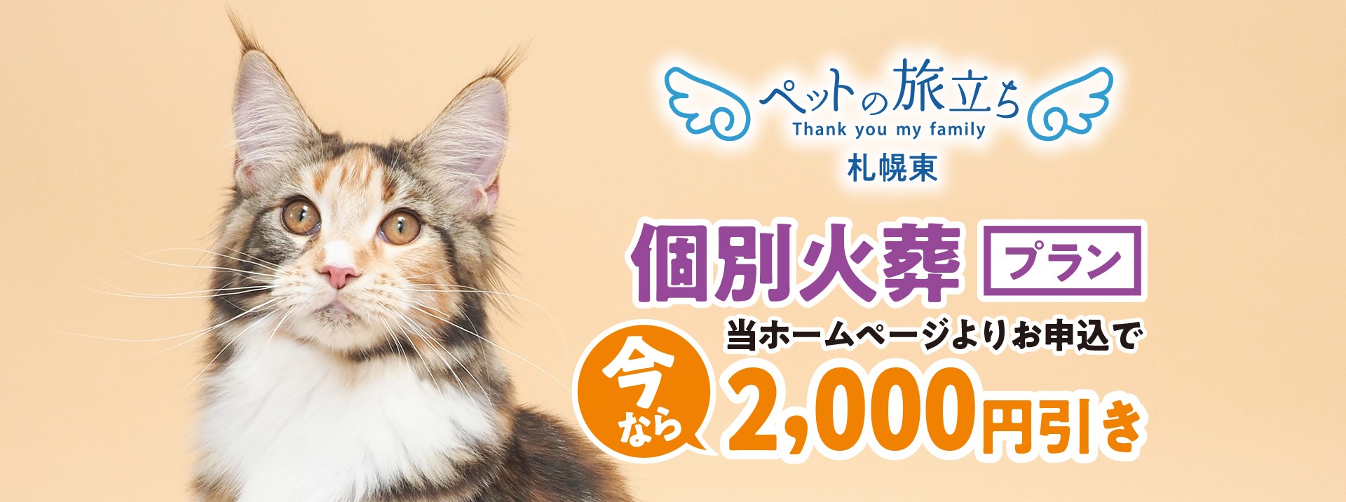 お引き取りプランは当ホームページよりお申し込みで今なら1,000円引き。※極小手のひらサイズ(15cm程度まで)には適応されません。個別火葬プランは当ホームページよりお申し込みで今なら2,000円引き。