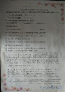 札幌市手稲区ポメラニアンちゃんのお火葬のアンケート